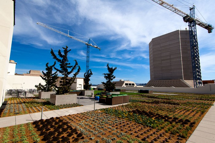 terrasse_2