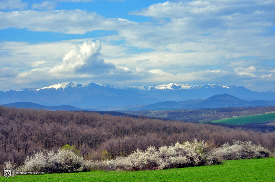 prolet_i_zima
