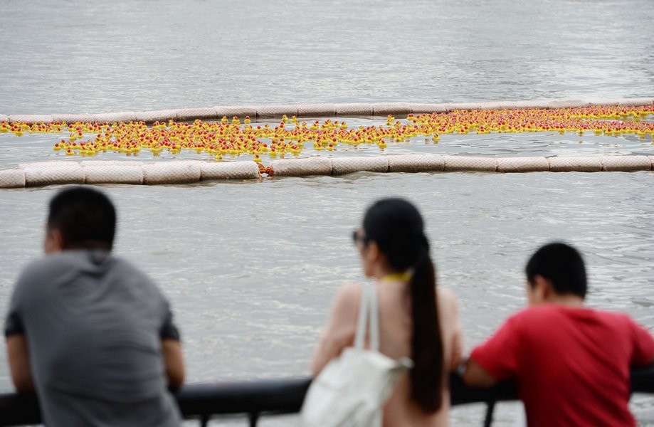 Huangpu - Rubber Duck Race 3
