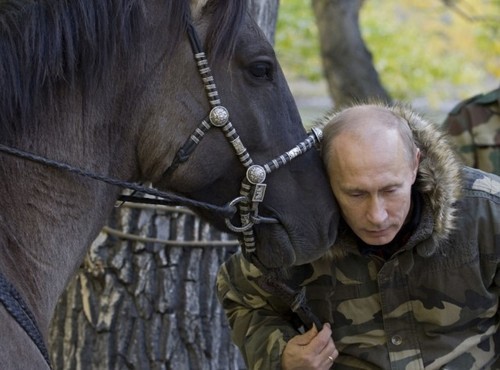 horse