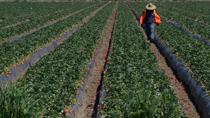 monsanto-c