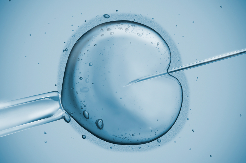 IVF Treatment