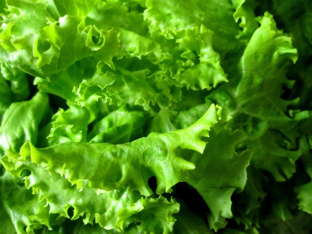 salata