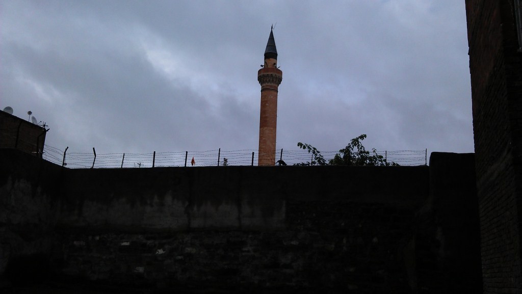 IMAG0215