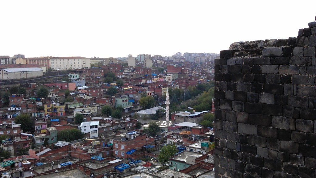 IMAG0227