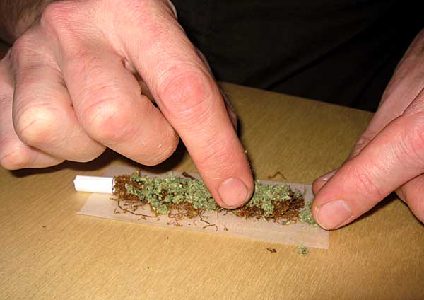 Sviv_cigara