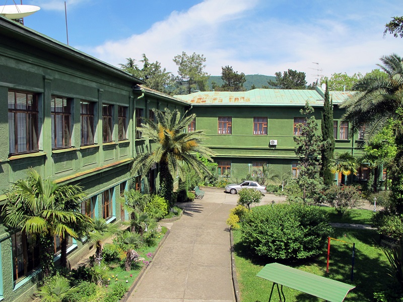 Dacha Courtyard