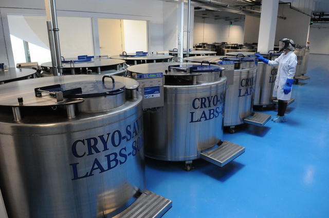slike-banka-maticnih-celija-cryo-save22824