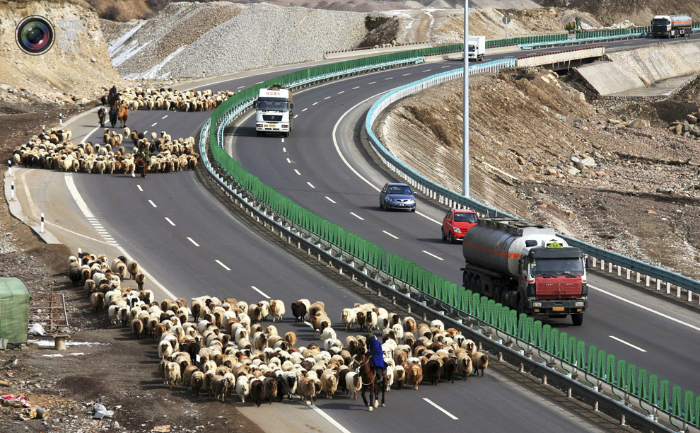 chinese_urbanisation_007