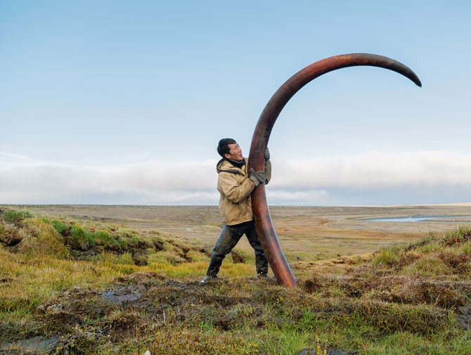 01-pristine-mammoth-tusk-670