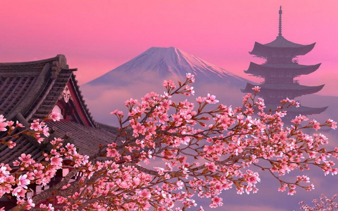 hanami_07
