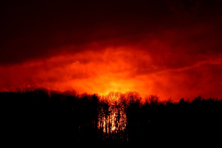burning_wood_by_Dieffi