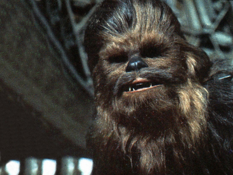 chewbacca1