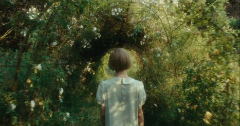 3. Rewilder