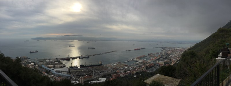8_800x300