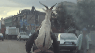 GoatBike