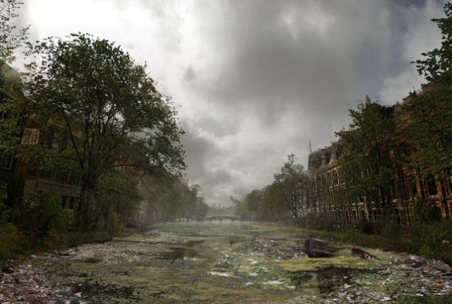 canals of amsterdam