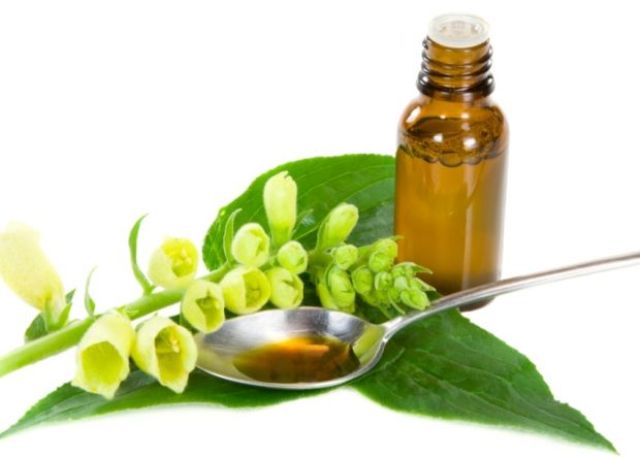 menta