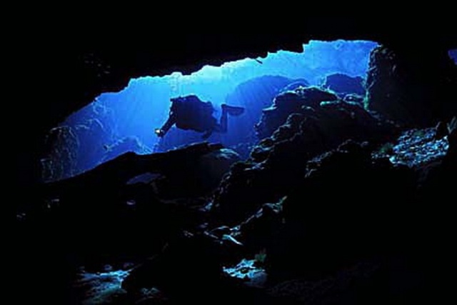 Peacock Springs,