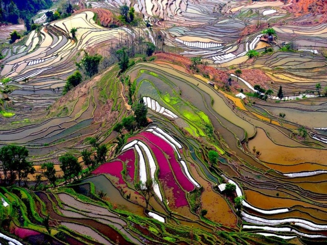 kina