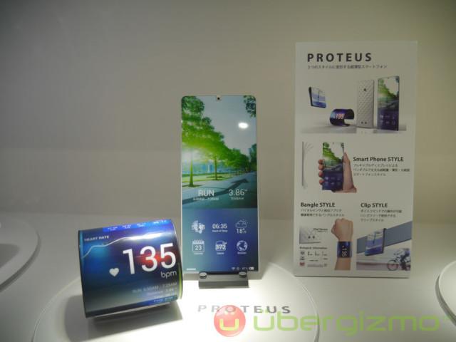 proteus