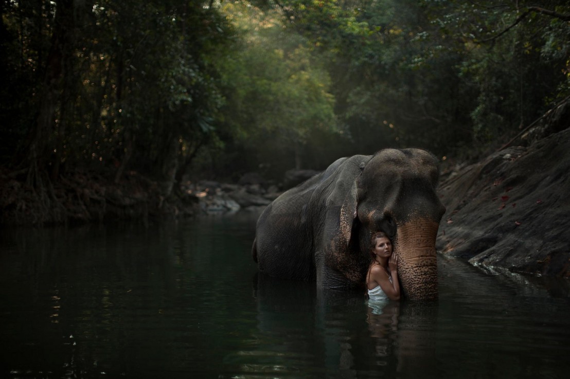 People With Wild Animals 12