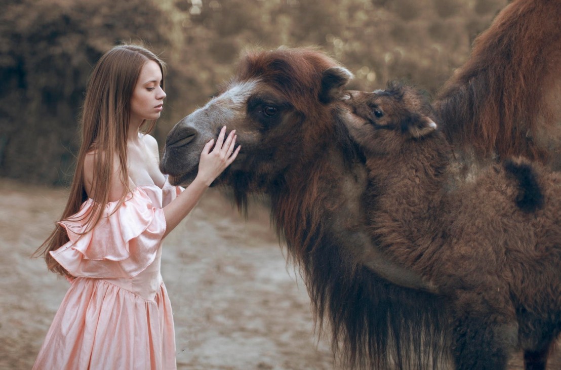 People With Wild Animals26