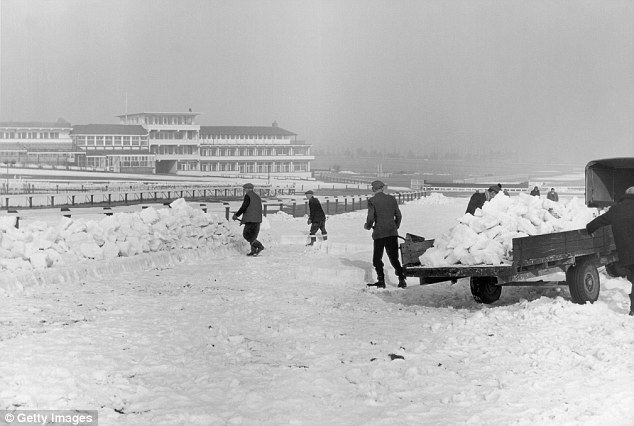 snow4