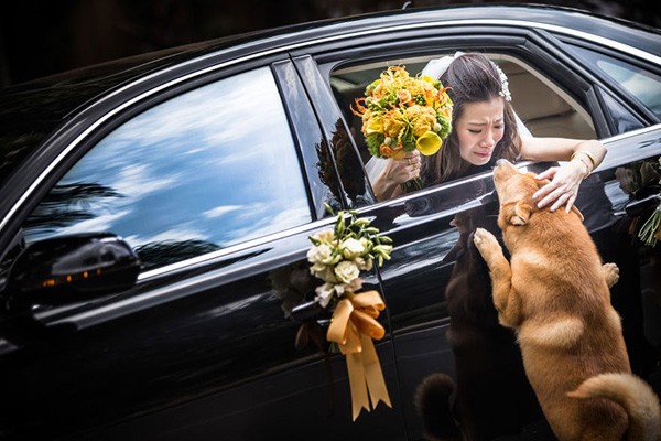 creative-best-wedding-photography-awards-2014-ispwp-contest-91
