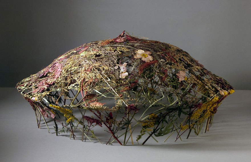 Spanish-Artist-Creates-Delicate-Pressed-Flower-Sculptures4__880