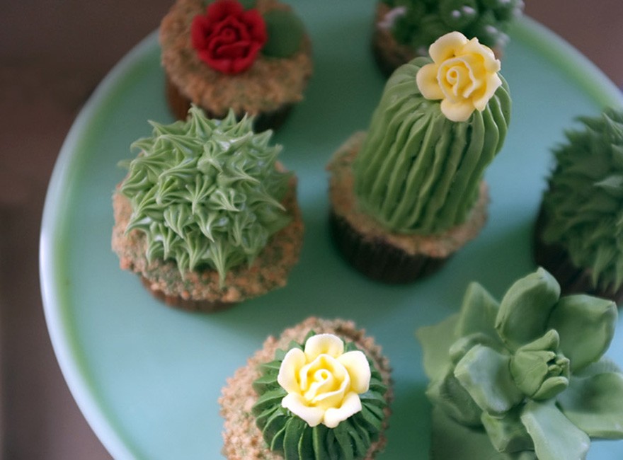 house-plant-cupcakes-alana-jones-mann-2__880