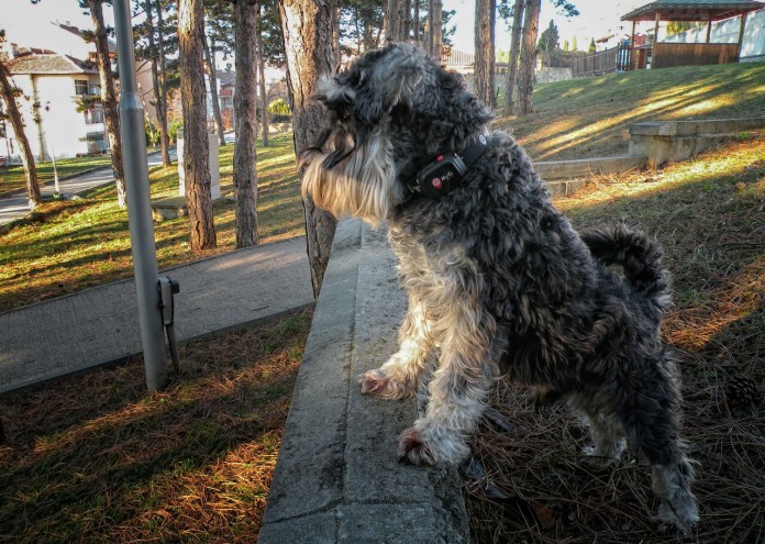 asd