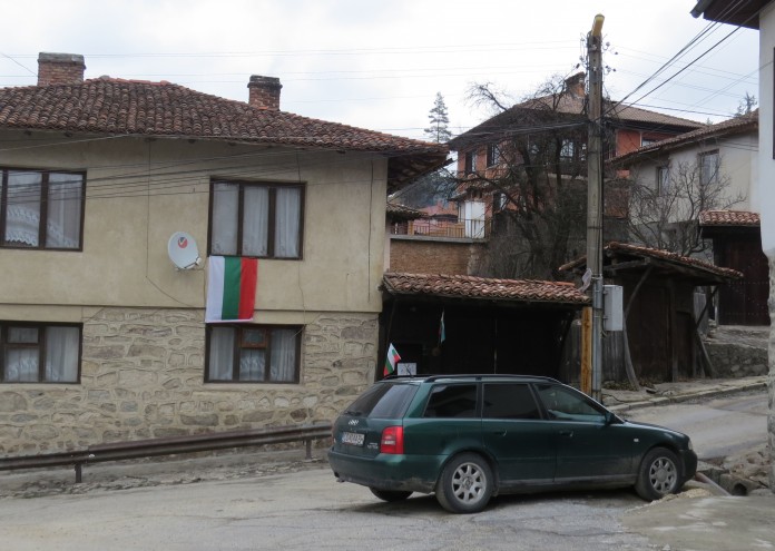 копривщица