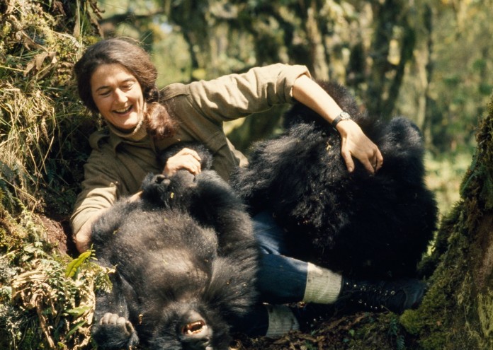 National Geographic_DianFossey_SecretsInTheMist (2)