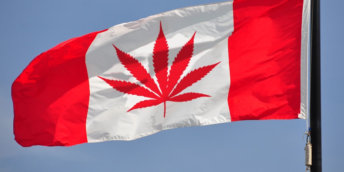 марихуана канада