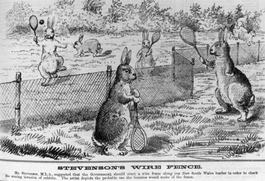 rabbit-proof-fence-episode
