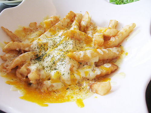  cheesy-french-fries 