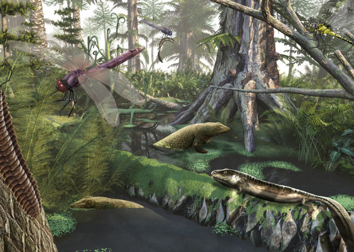  Giant Prehistoric Insects 