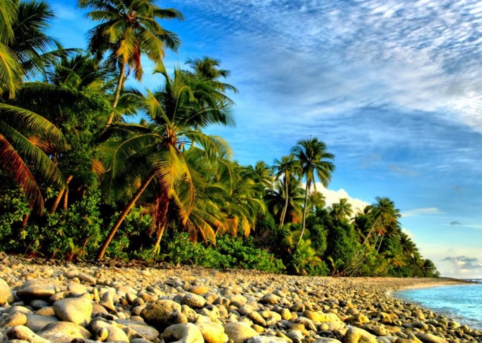  1688232-1024x768-[DesktopNexus.com] 