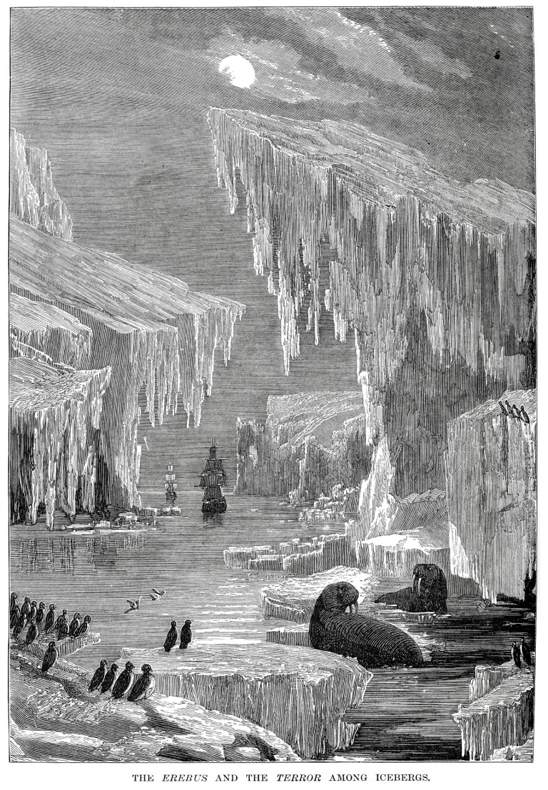  The Erebus and Terror amoung icebergs 