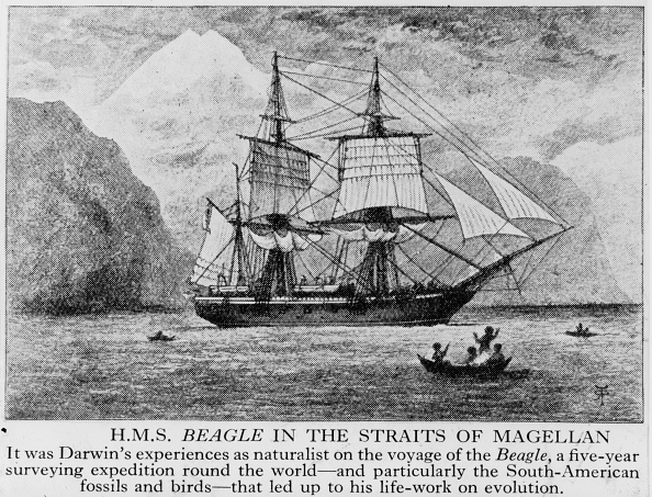  gettyimages-2695373-594x594 