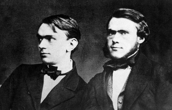  gettyimages-545972855-594x594 