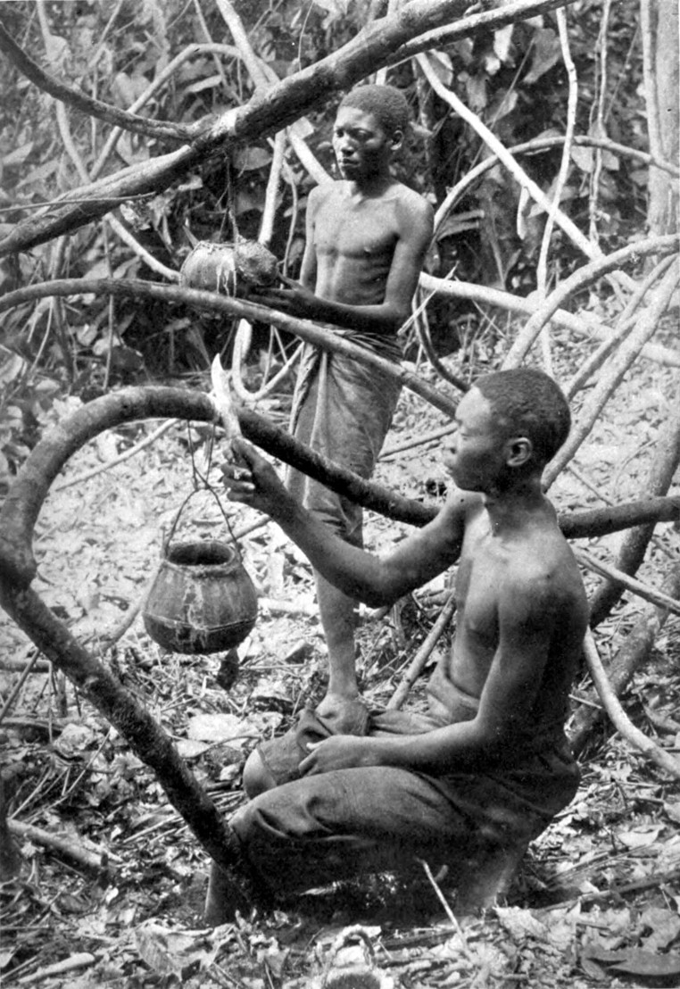 Collecting Rubber in Forest of Lusambo (Lualaba-Kassai) - p. 280