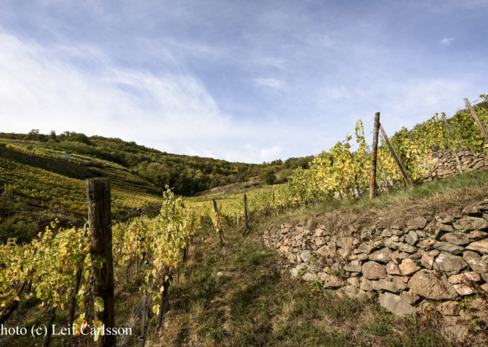  photo by Leif Carlsson 