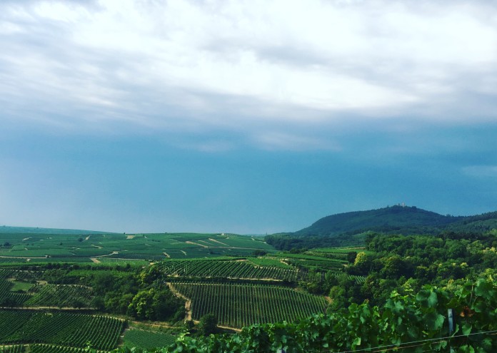  Vue sur le Steingrubler juillet 2019 filtre 