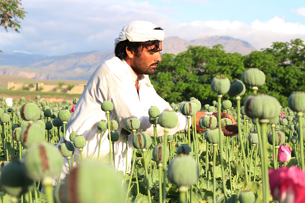  gettyimages-522598150-594x594 