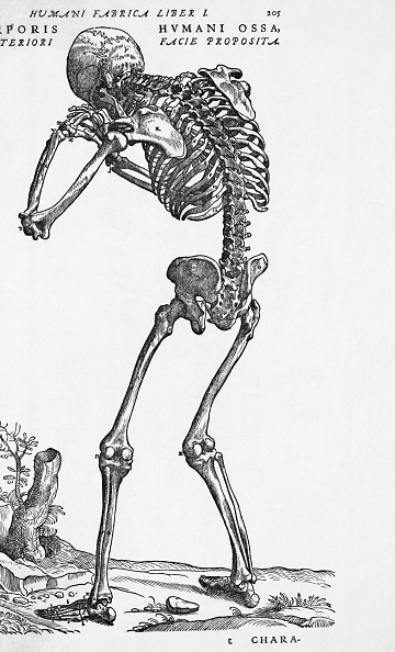  gettyimages-517389492-594x594 