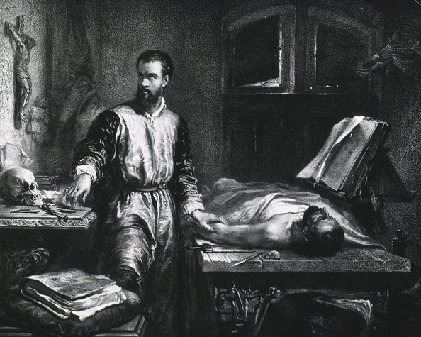  gettyimages-566463815-594x594 