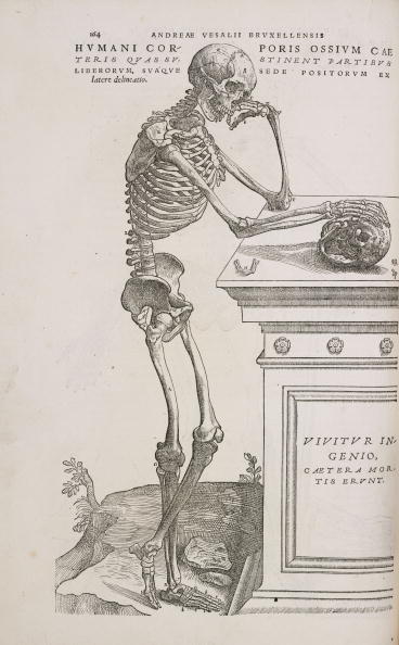  gettyimages-90768237-594x594 