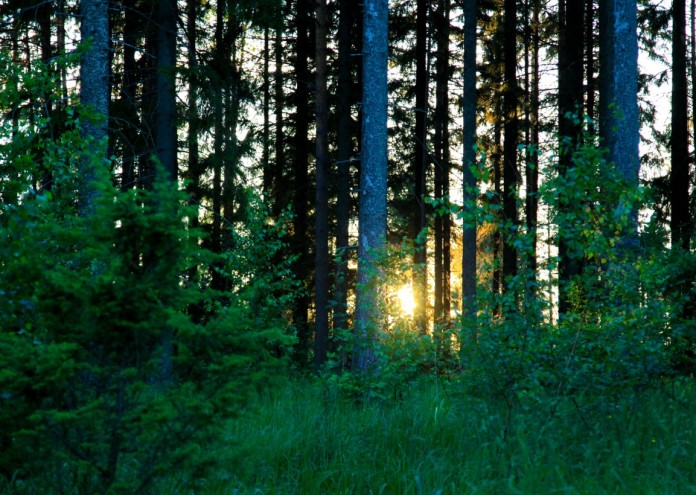 Във Финландия животът в хармония с природата и грижата за